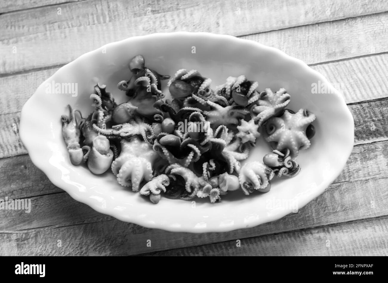 Kleine Oktopusse auf einem Teller auf einem hölzernen farbigen Hintergrund.Meeresfrüchte gesundes Essen Foto. Stockfoto