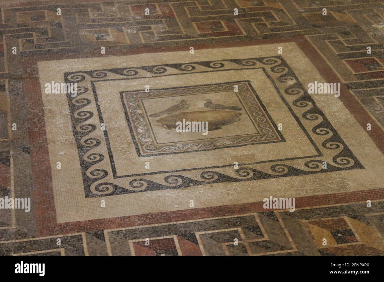 Villa Roman, Domvs Romana, Mdina, Malta Stockfoto