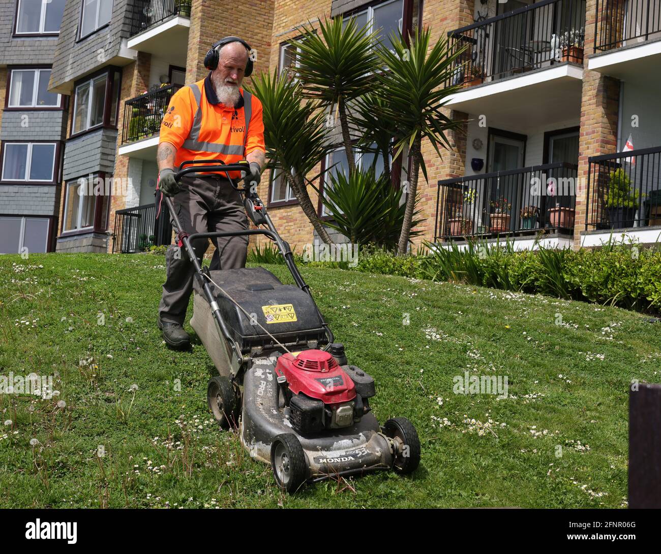 Groundsman schneidet Rasen, Großbritannien. Stockfoto