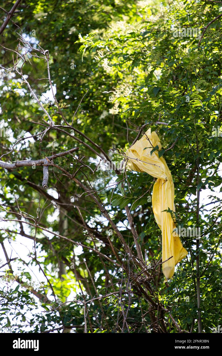 Große gelbe Plastiktüte hängt im grünen Baum. Stockfoto