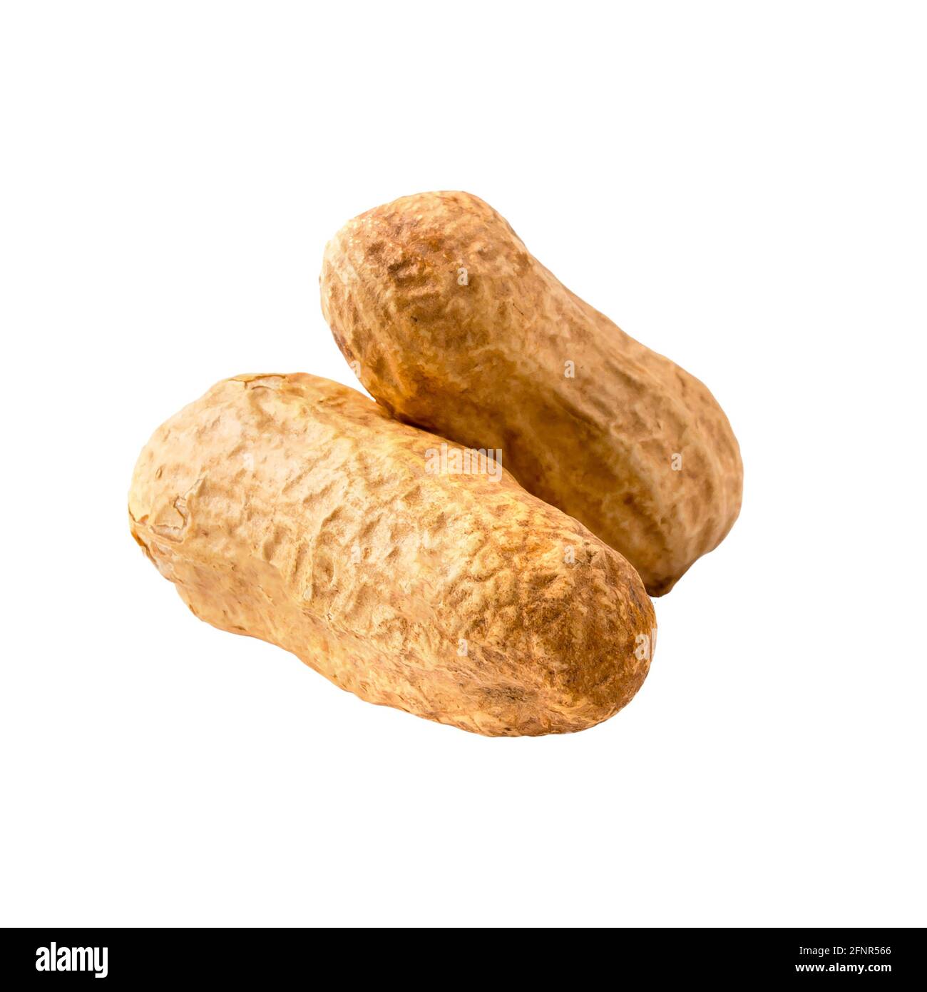 Isolierte Erdnüsse in Schale auf weiß Stockfoto
