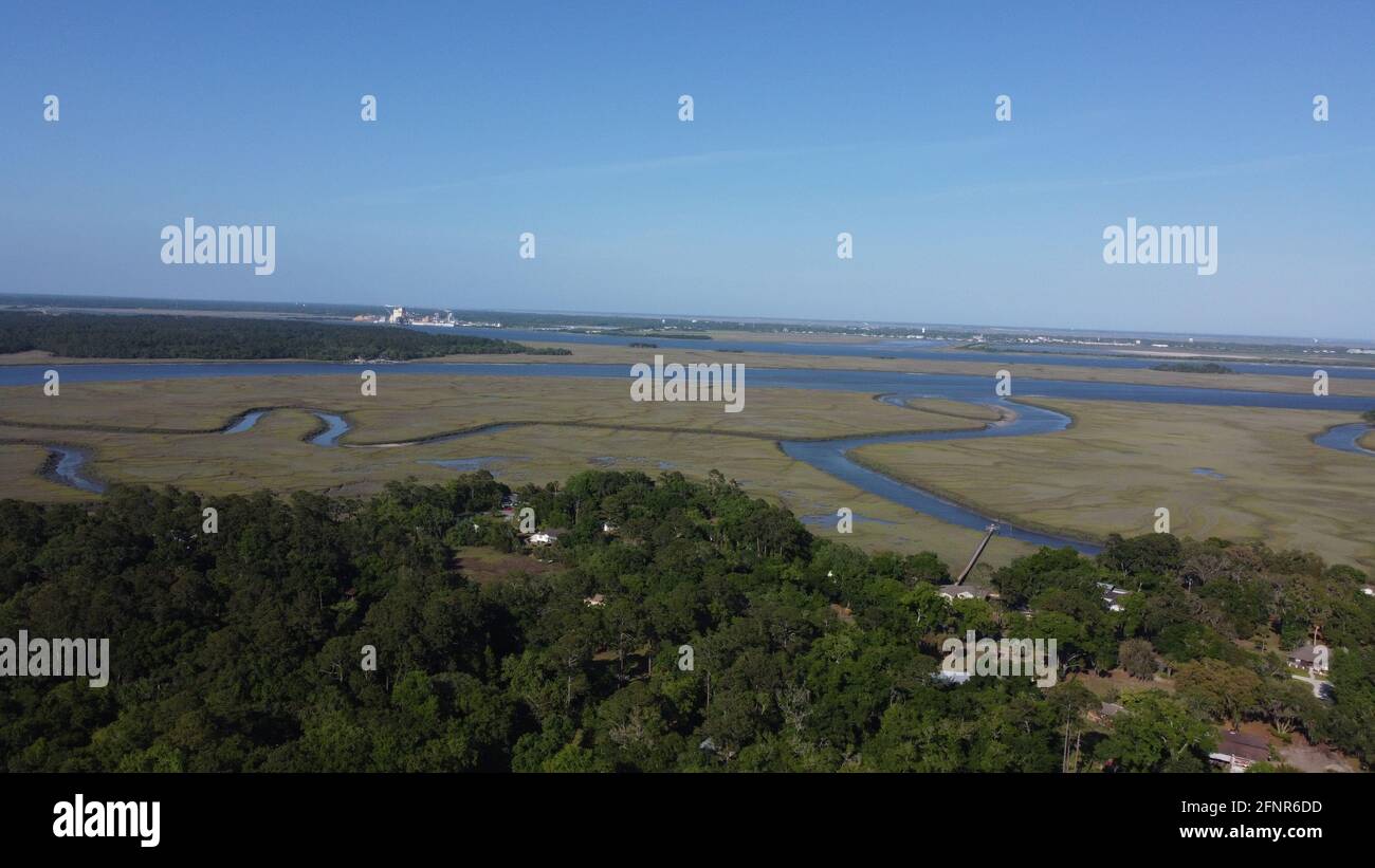 Luftaufnahmen von Gänsen auf einem Teich, aufgenommen mit Drohne In 4k Stockfoto