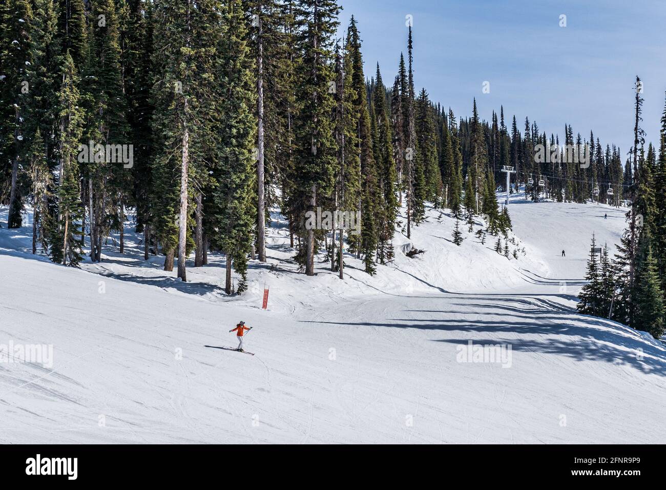 REVELSTOKE, KANADA - 17. MÄRZ 2021: Menschen auf der Skipiste mit hohen grünen Bäumen im Hintergrund Stockfoto