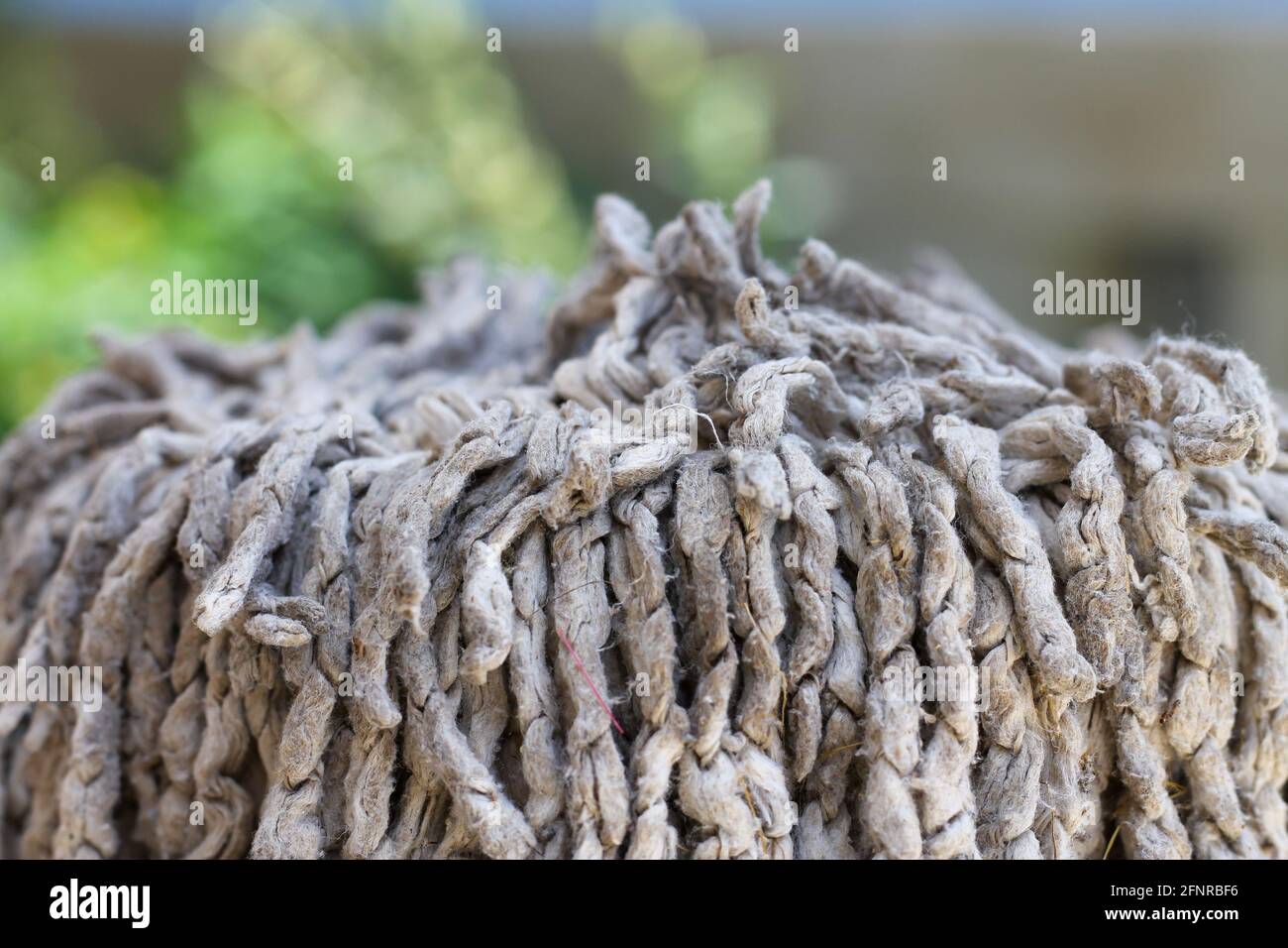 Die weißen Fasern des Mopps sind verschmutzt. Nahaufnahme Stockfoto