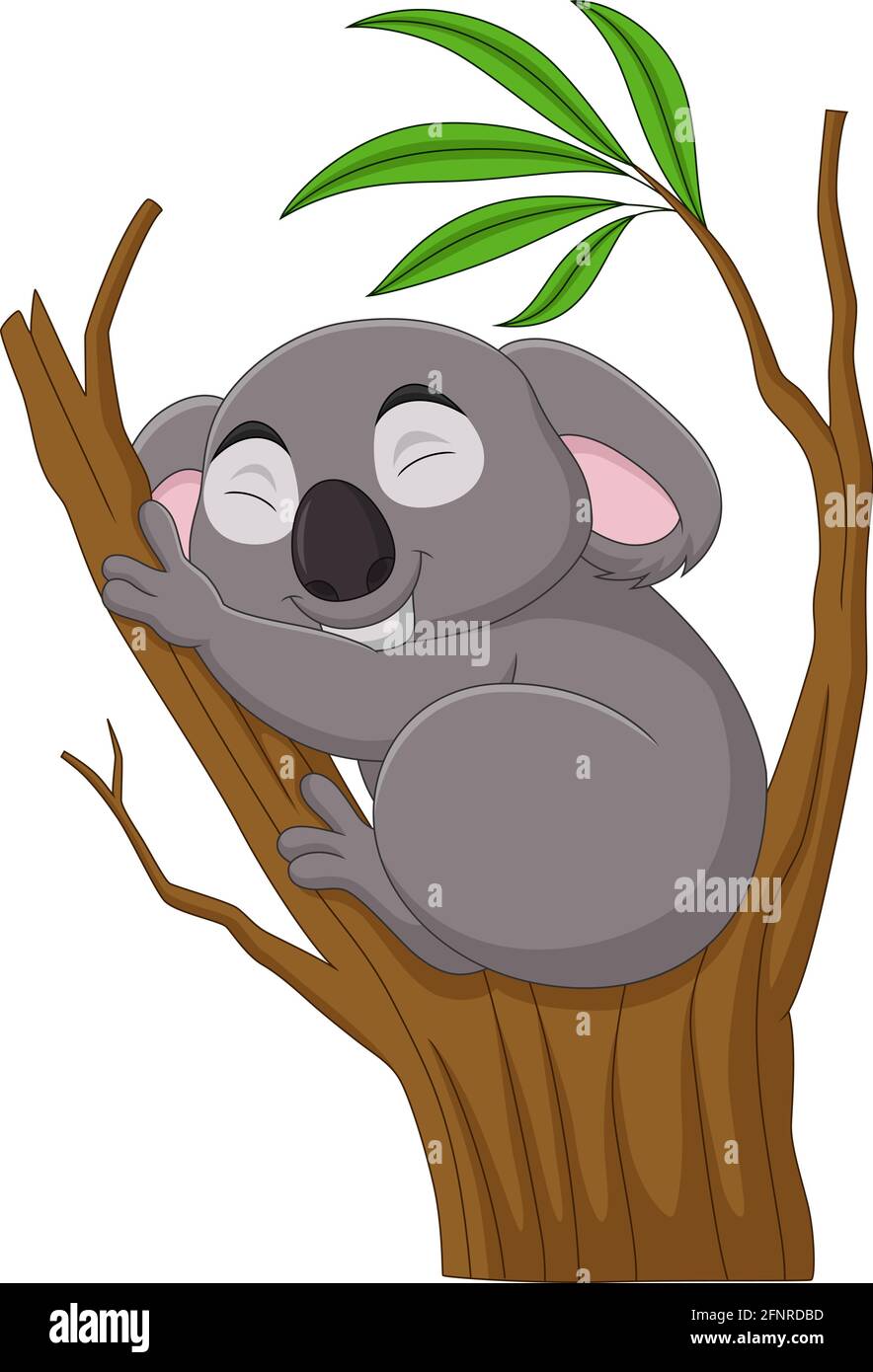 Cartoon Koala schläft auf einem Baum Ast Stock Vektor