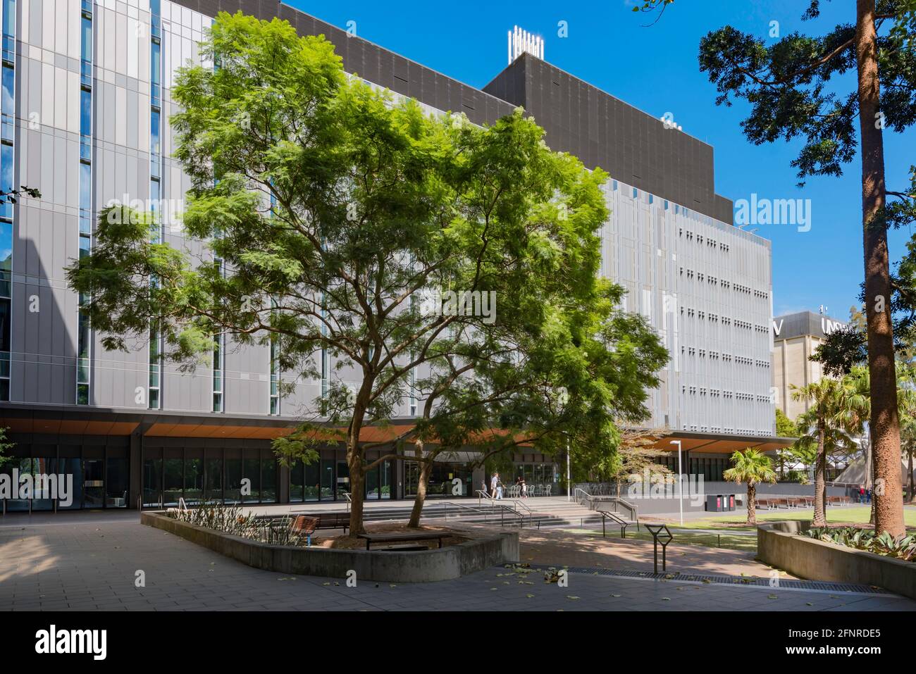 Das mehrstöckige Gebäude Biological Sciences North (D26) an der University of New South Wales (UNSW) in Kensington, Sydney, Australien, wurde 2019 fertiggestellt Stockfoto