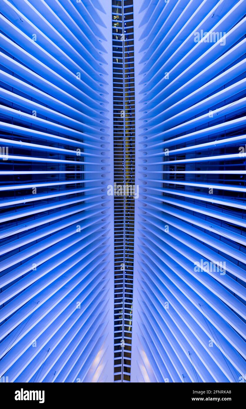 Blaues Symmetrisches Design Stockfoto