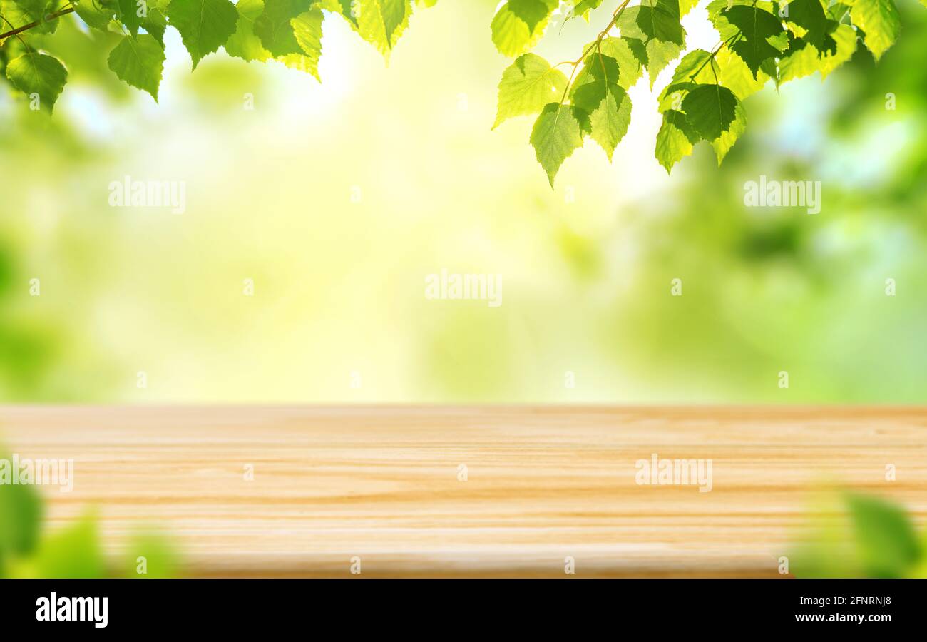 Leerer Holztisch auf verschwommenem grünen Hintergrund mit schönen frischen Blättern. Frühling oder Sommer. Bereit für Ihr Produkt. Modell. Stockfoto