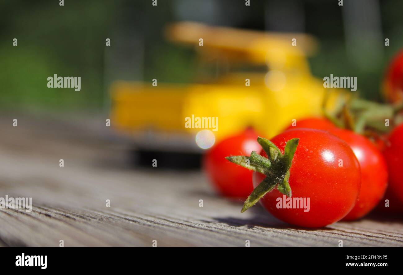Tomaten und Vintage Yellow Truck Shallow DOF Stockfoto