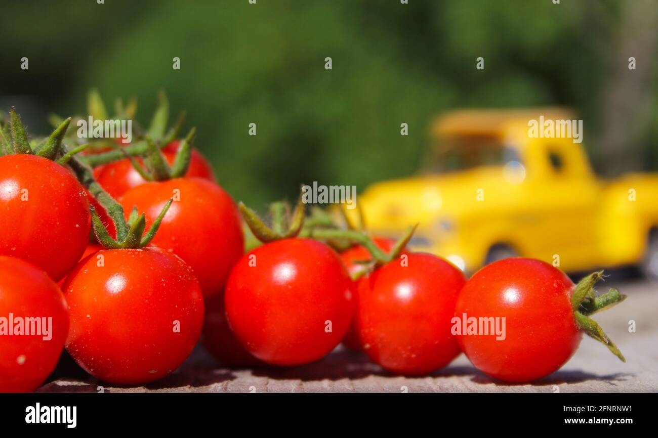 Tomaten und Vintage Yellow Truck Shallow DOF Stockfoto