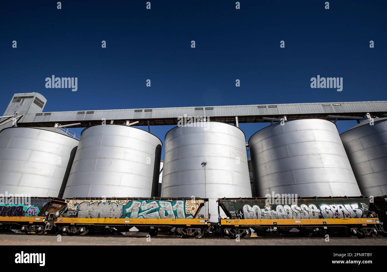 Ländliche Industrie im ländlichen Australien . Ein Güterzug, der im ländlichen Victoria mit Getreide beladen wird. Stockfoto