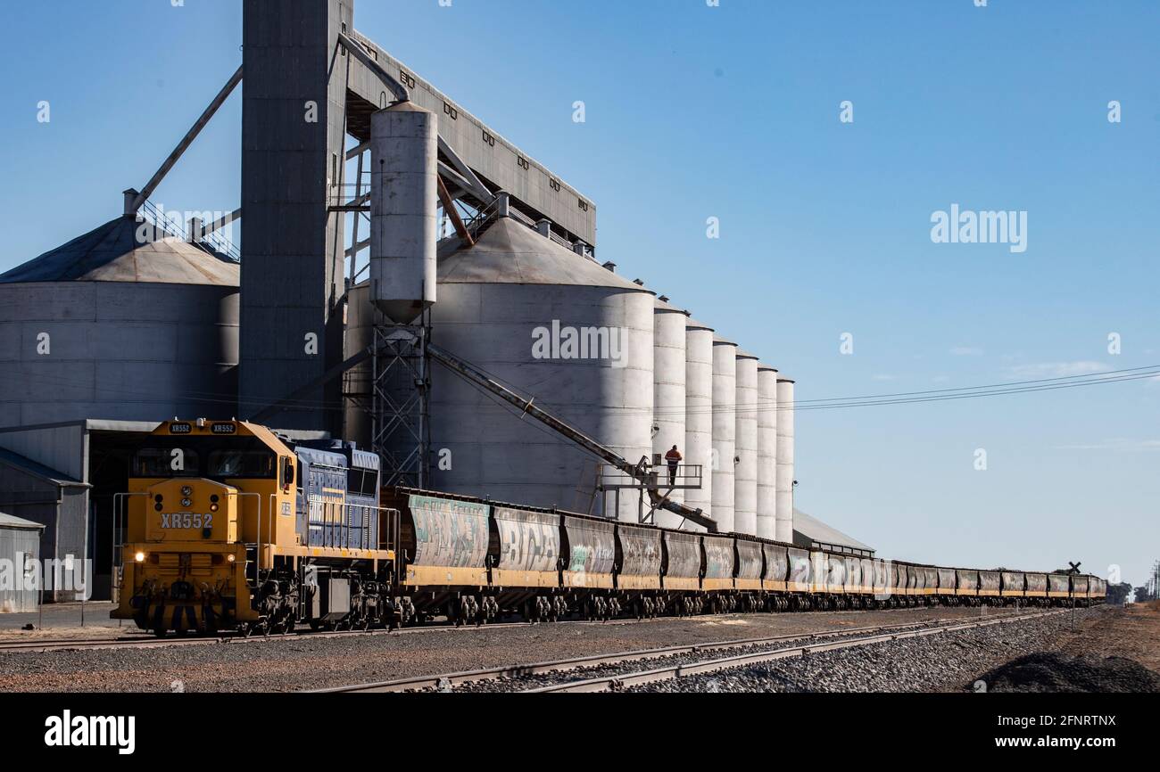 Ländliche Industrie im ländlichen Australien . Ein Güterzug, der im ländlichen Victoria mit Getreide beladen wird. Stockfoto