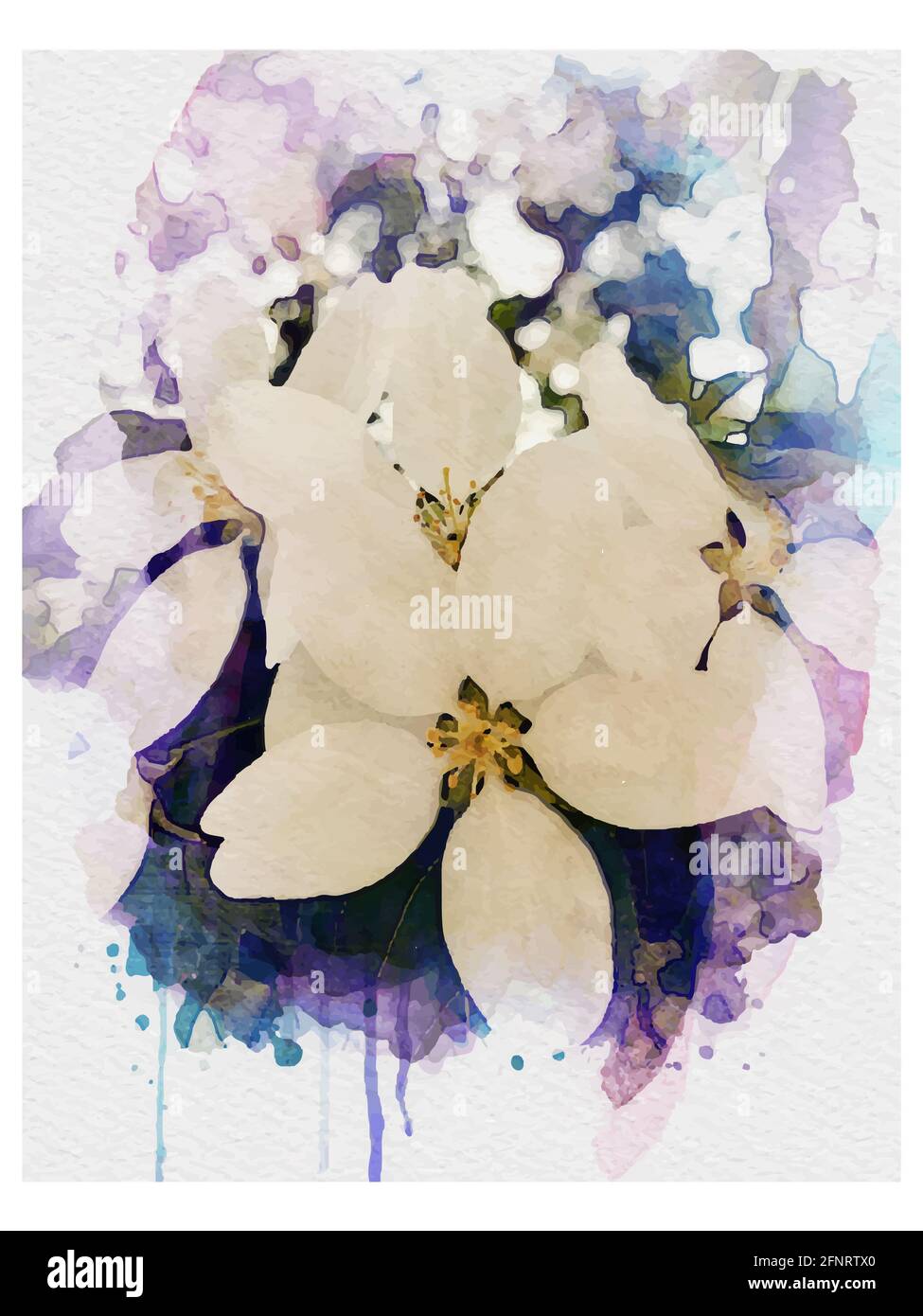 Aquarell Vektor Apfelblüten Zweig mit Blättern lila blaue Farbe Stockfoto