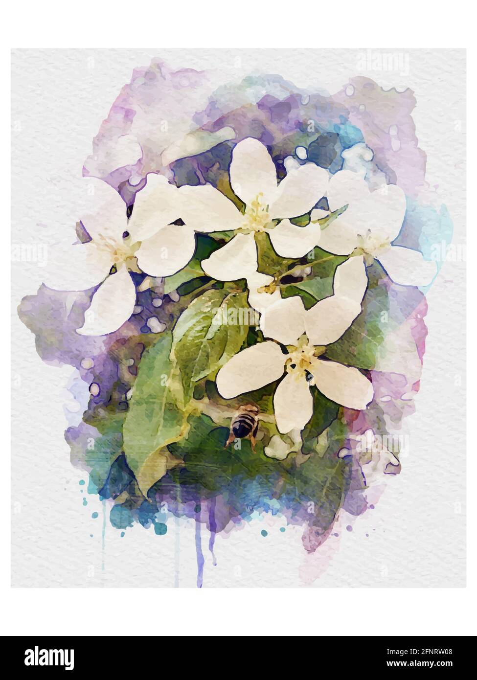 Aquarell Vektor Apfelblüten Zweig mit Blättern lila blaue Farbe Stockfoto