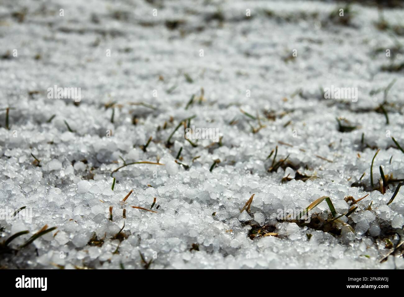 Graupel Stockfotos Und Bilder Kaufen Alamy