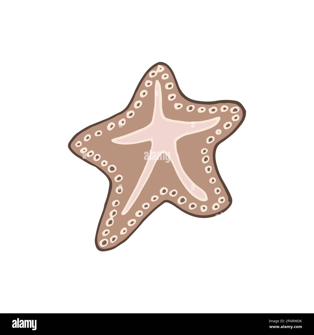 Seesterne Seevektor isoliert Hand Zeichnung Skizze beige Stockfoto