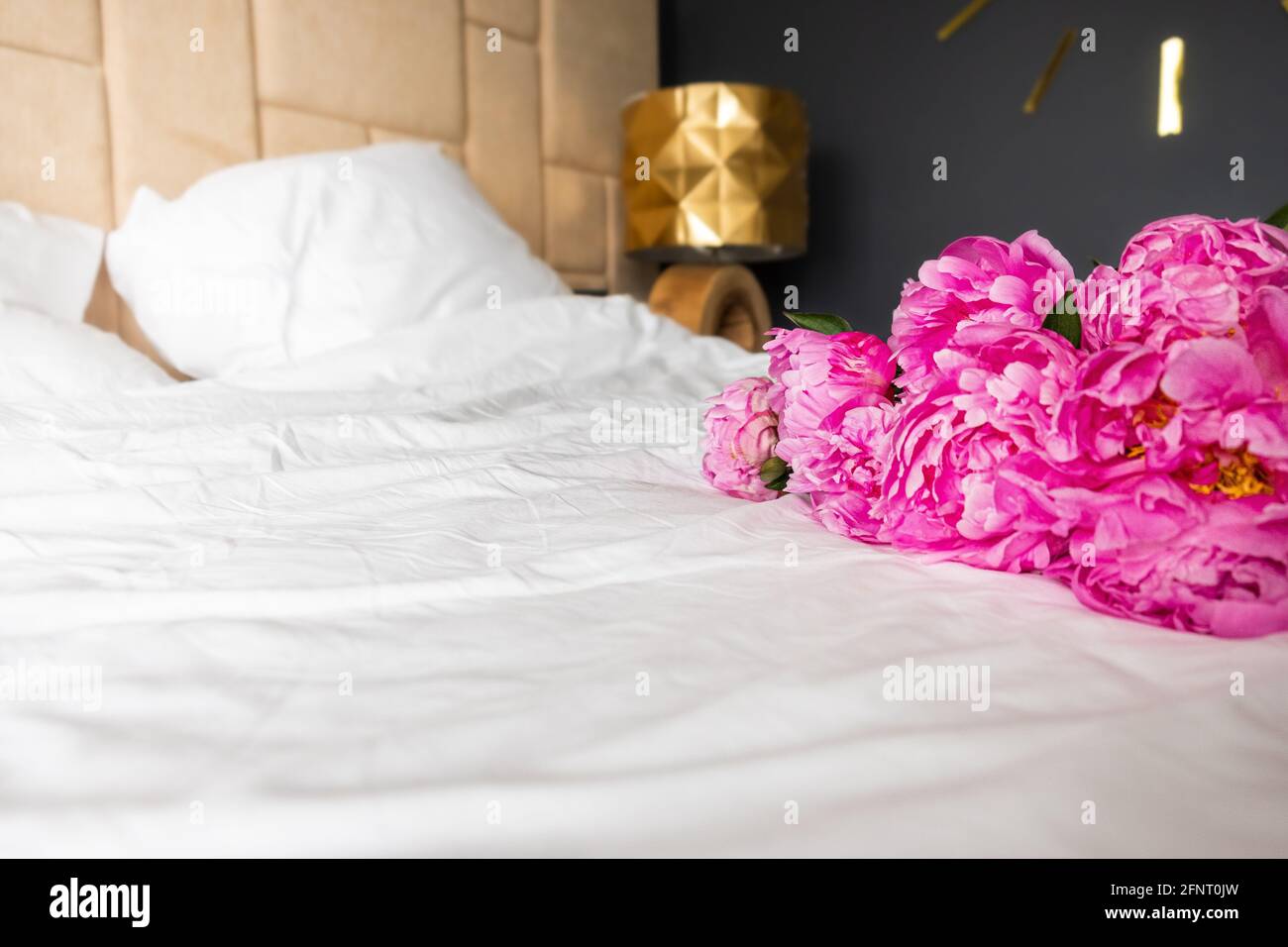 Schöne große rosa Pfingstrosen liegen auf dem Bett. Frische Frühlingsblumen. Platz für Text kopieren. Stockfoto