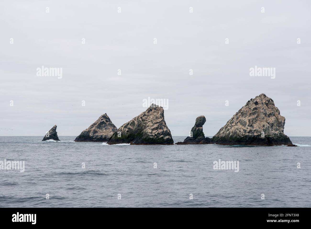 Shag Rocks zwischen Südgeorgien und der Falklandinseln Antarktis Stockfoto