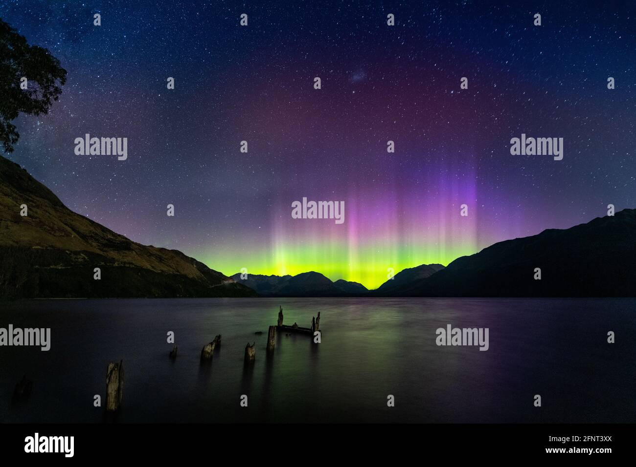 Aurora in Little Paradise, Glenorchy, Neuseeland Stockfoto