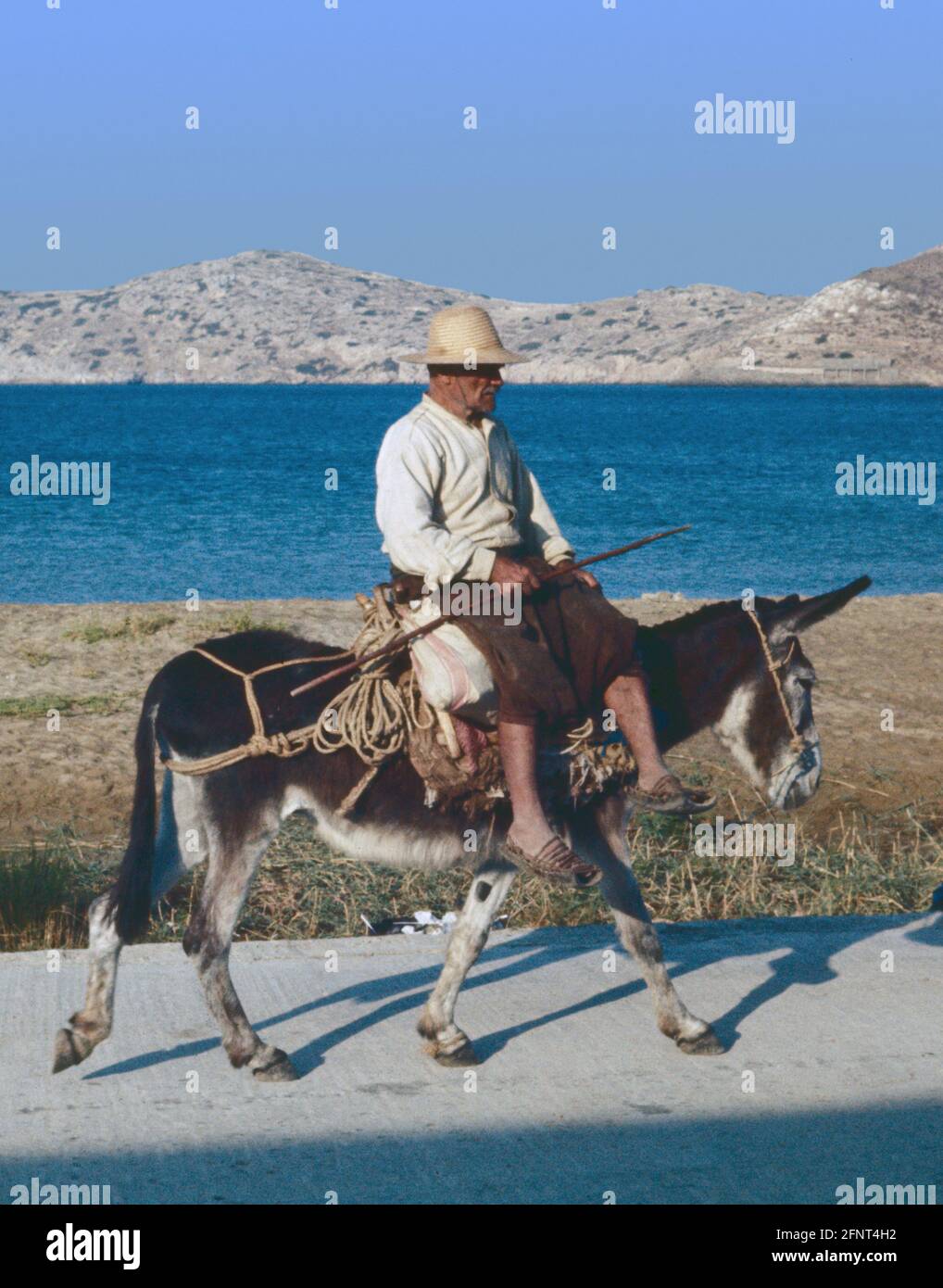 Gescanntes Bild eines Bewohners von iOS, der mit den lokalen Verkehrsmitteln das felsige Gelände umrundet, einen Esel. Wir sehen die Dinge vielleicht anders Stockfoto