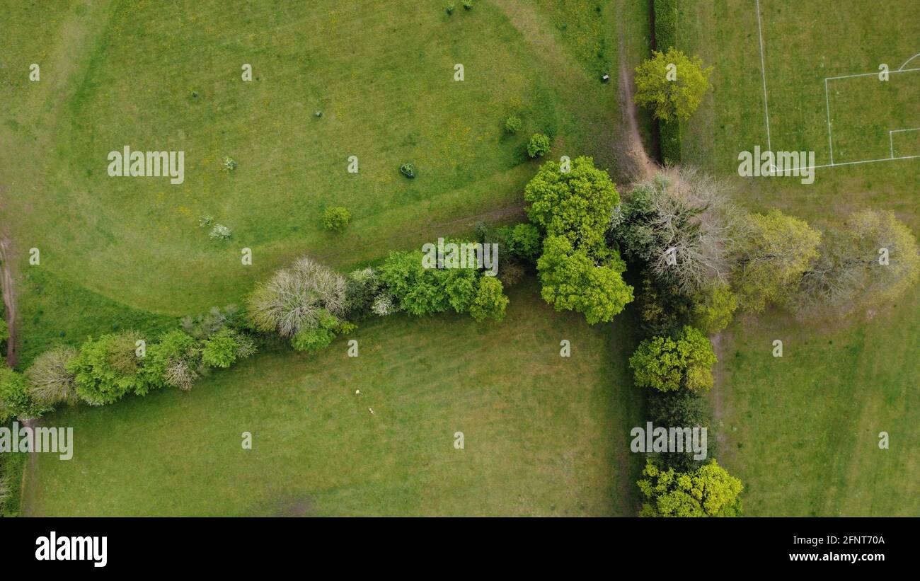 Eine Luftaufnahme von direkt über grünen Feldern Und Hecken Stockfoto