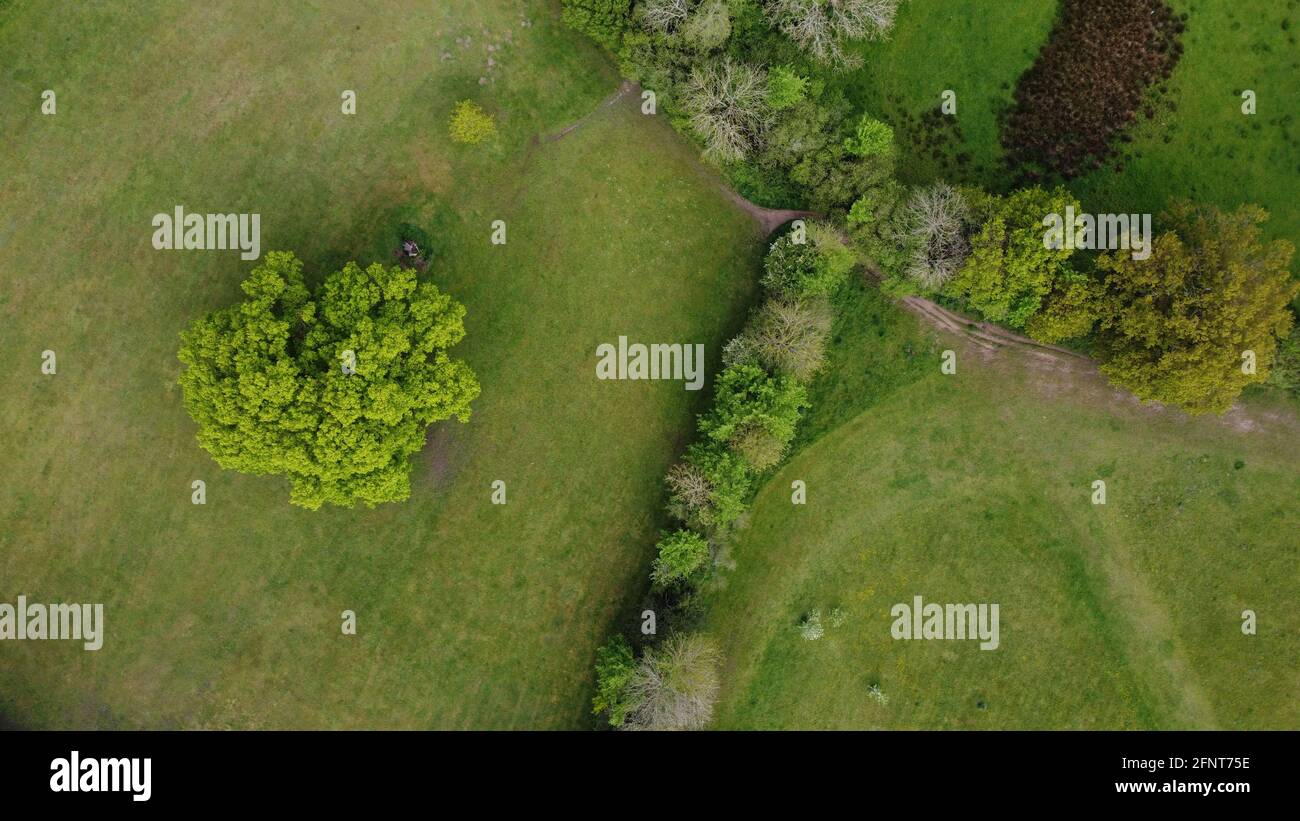 Eine Luftaufnahme von direkt über grünen Feldern Und Hecken Stockfoto