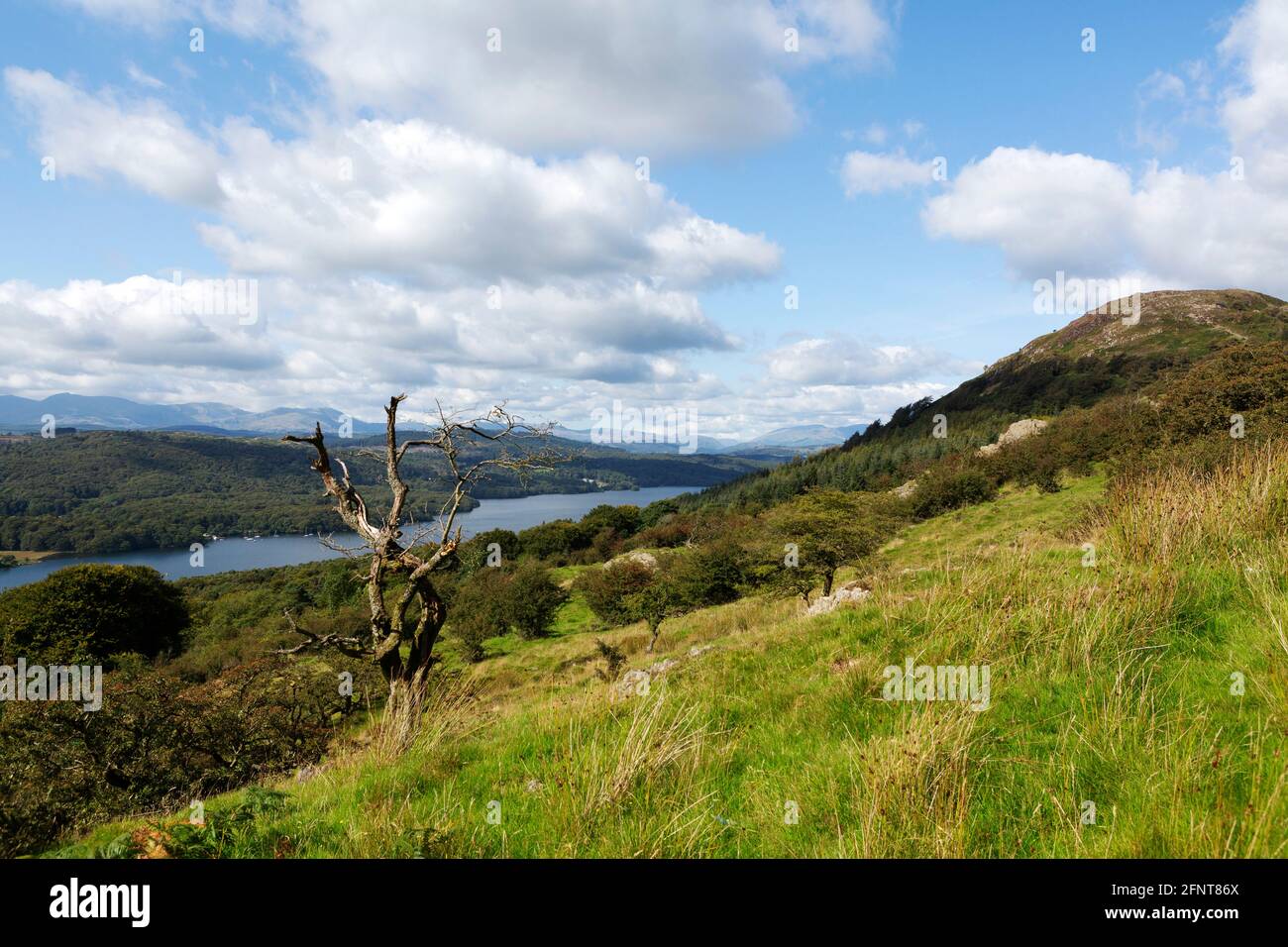 Gummer's How Above Lake Windermere in Cumbria, England. Die Landschaft ist Teil des English Lake District. Stockfoto