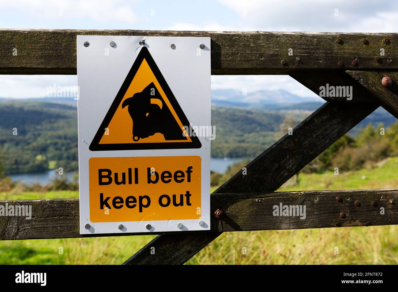 Schild, das die Leute warnt, sich in Cumbria, England, von einem Feld fernzuhalten. Das Feld hat einen Stier. Stockfoto
