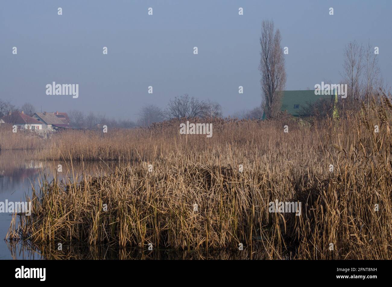 29. Dezember 2013 - Srbobran: Stadt Srbobran im Nebel, im Winter in der Nähe von Novi Sad Stockfoto