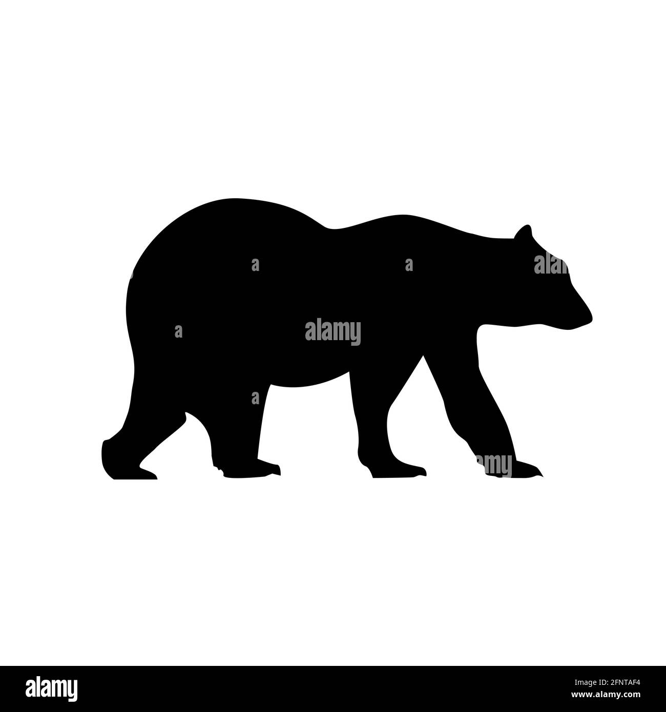 Bär Silhouette Vektor Grizzly Symbol schwarz. Polar Grizzly Illustration Logo Bär Design Stock Vektor