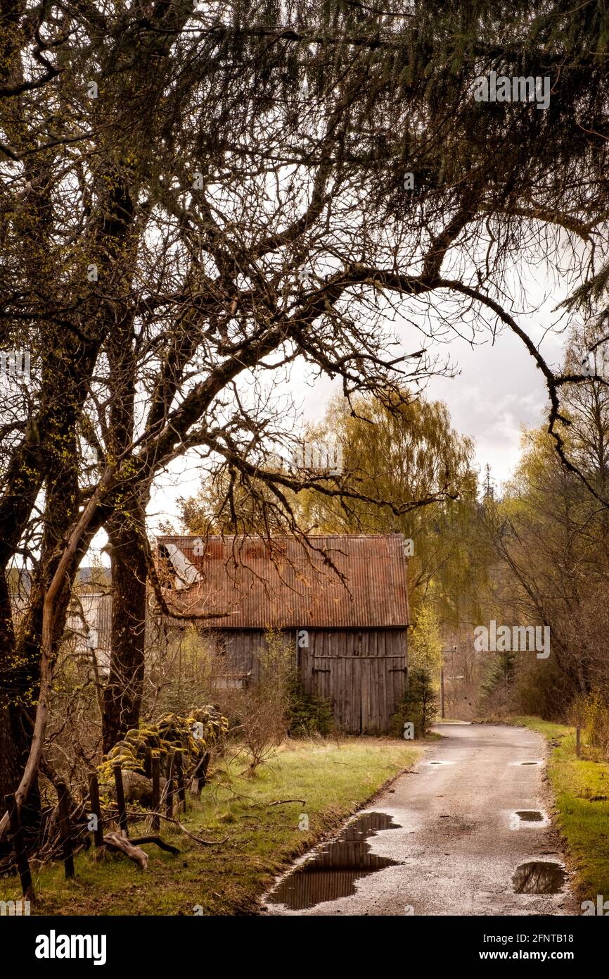 Eine alte, mit Holzwänden und Zinndach bedeckte Scheune an der Straße von Invermoriston nach Delcataig. Stockfoto