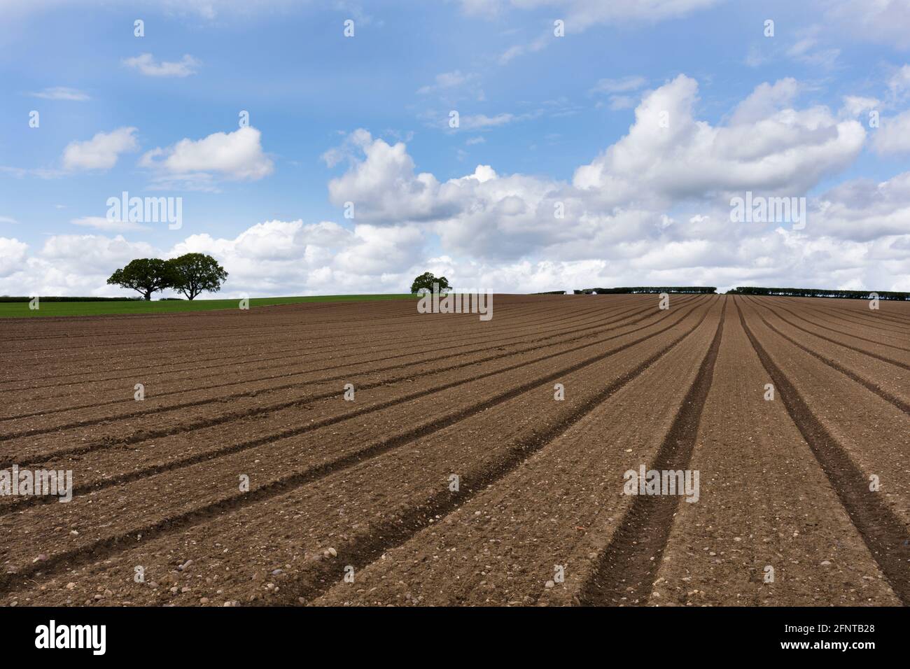 Ein gepflügtes Feld in der Nähe von Alcester in Warwickshire. Stockfoto