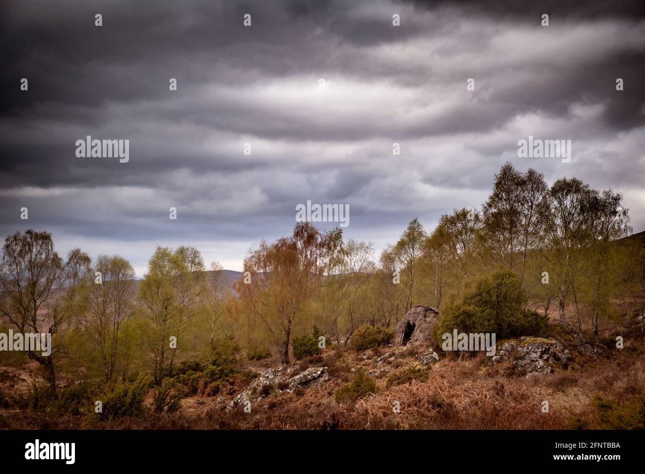 The Wolf Den in Dundreggan. Stockfoto