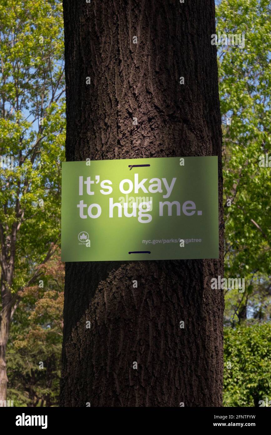 Das Funny NYC Parks Department steht auf einem Baum und sagt, dass es in Ordnung ist, mich zu umarmen. Es ist Teil eines Programms der Dankbarkeit gegenüber Bäumen.in Flushing Meadows Corona Park, NYC Stockfoto