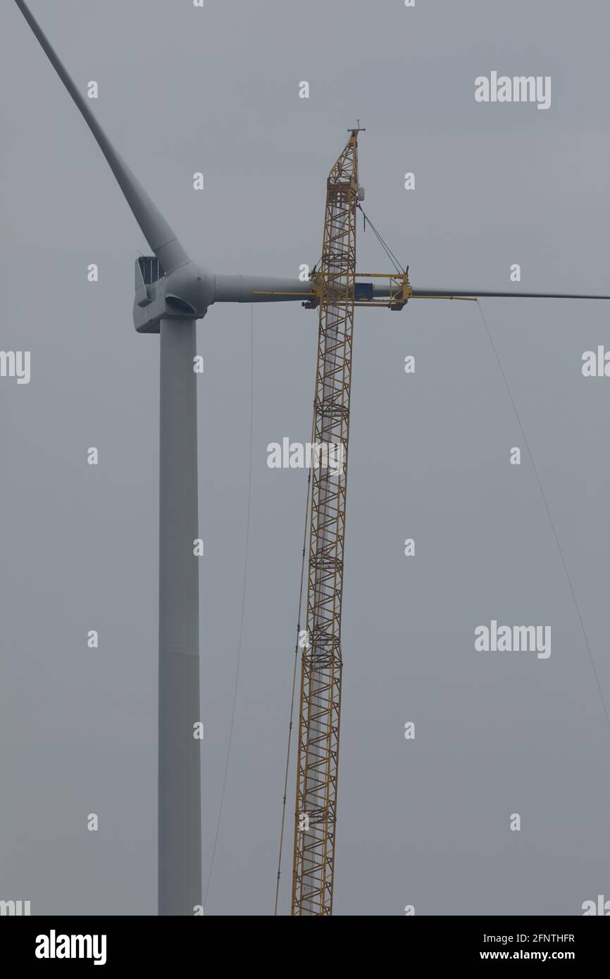 Ein Raupenkran hebt ein Rotorblatt eines an Neue Windenergieanlage Stockfoto