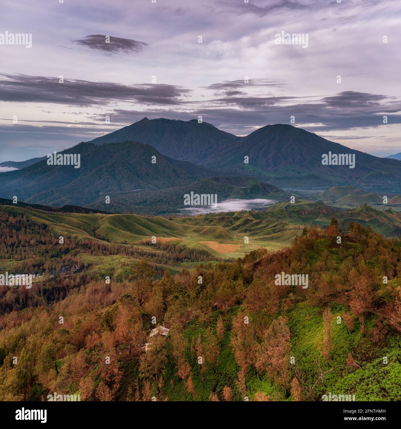 Luftaufnahme von wunderschönen Bergen und Wäldern unter einem bewölkten Himmel Stockfoto