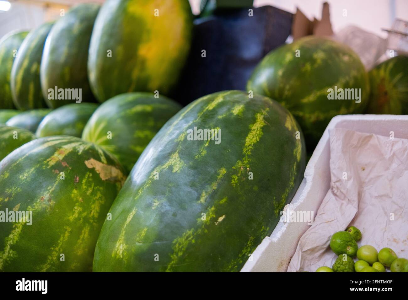 Frische und saftig aussehende Wassermelonen auf einem Obststand Stockfoto