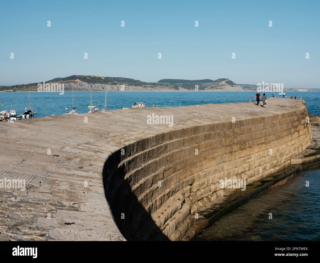 Blick auf den Cobb, berühmt gemacht durch Jane Austens Roman "Persuasion" und John Fowles "die französische Leutnant's Woman", Lyme Regis, Dorset, United K Stockfoto