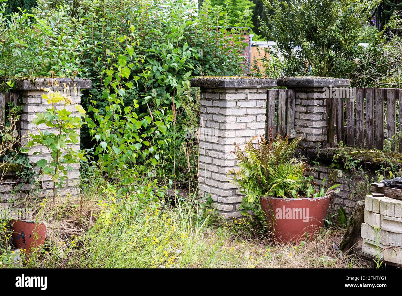 Verzauberter und überwucherter Garten Stockfoto