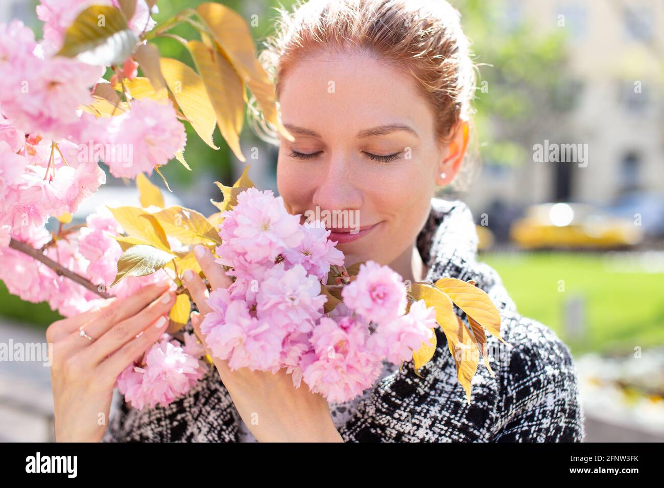 Junge, fröhliche, kaukasische Rotschopf-Frau, die am Zweig Kirschblüte riecht Stockfoto