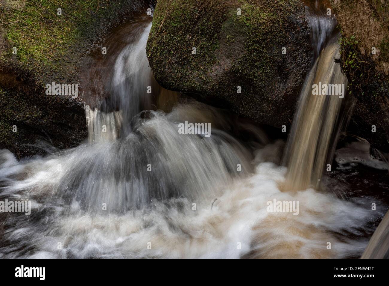 Naturschutzgebiet Wyming Brook, Nationalpark Peak District, Sheffield, South Yorkshire, England, Großbritannien Stockfoto