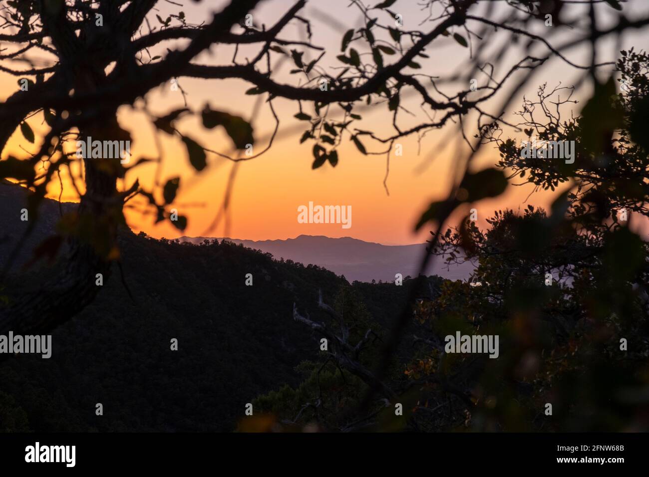 Mount Wrightson, Arizona, USA Stockfoto