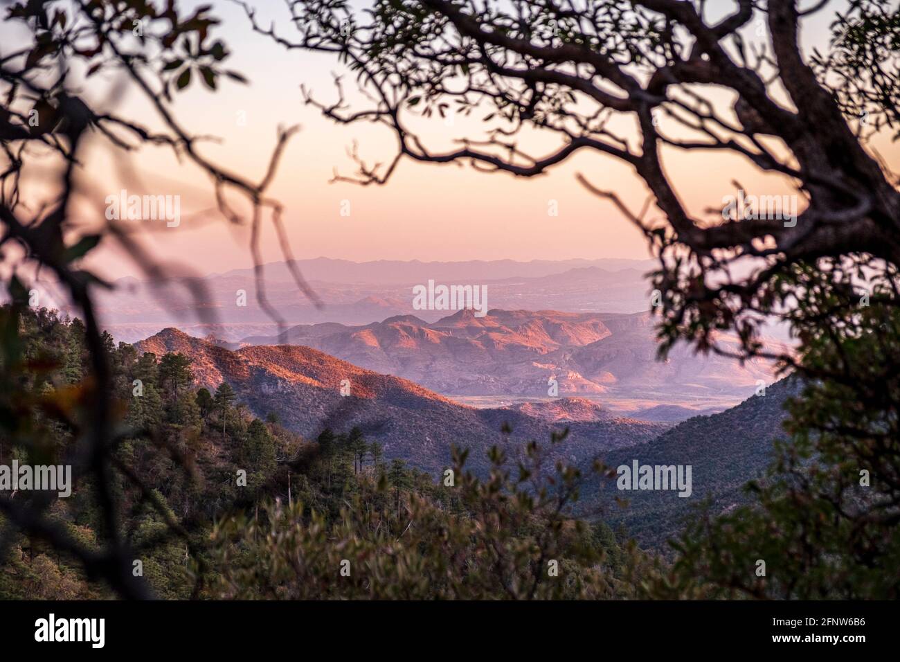 Mount Wrightson, Arizona, USA Stockfoto