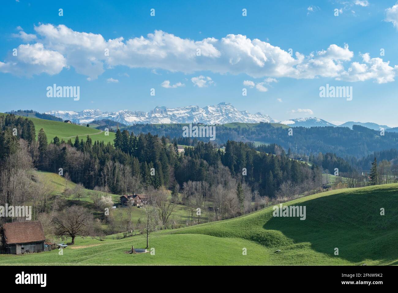 Blick über die Appenzeller Hügel auf den schneebedeckten Säntis, Schweiz Stockfoto