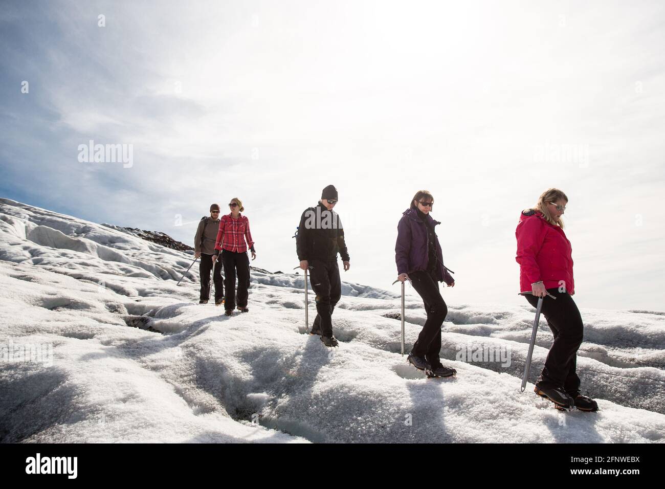 Skaftafellsjökull Gletscherwanderung, Island Stockfoto