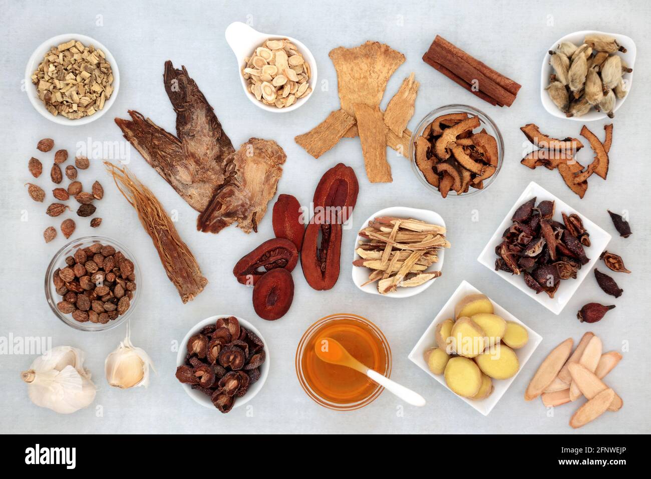 Fev Stockfotos Und Bilder Kaufen Alamy