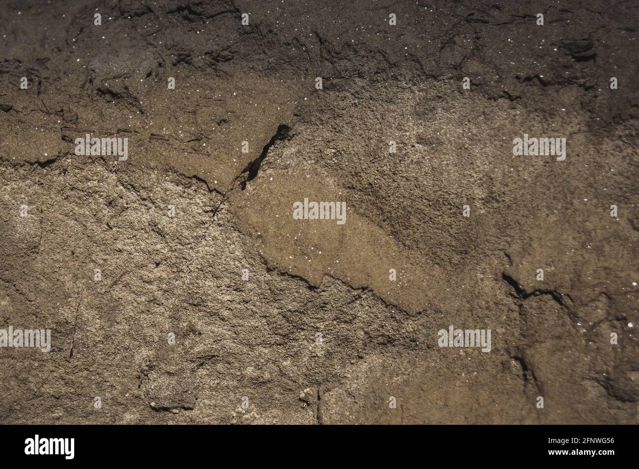 Die Textur des Sandes. Sandsteinbruch. Malerische Textur von Sandsteinen. Stockfoto