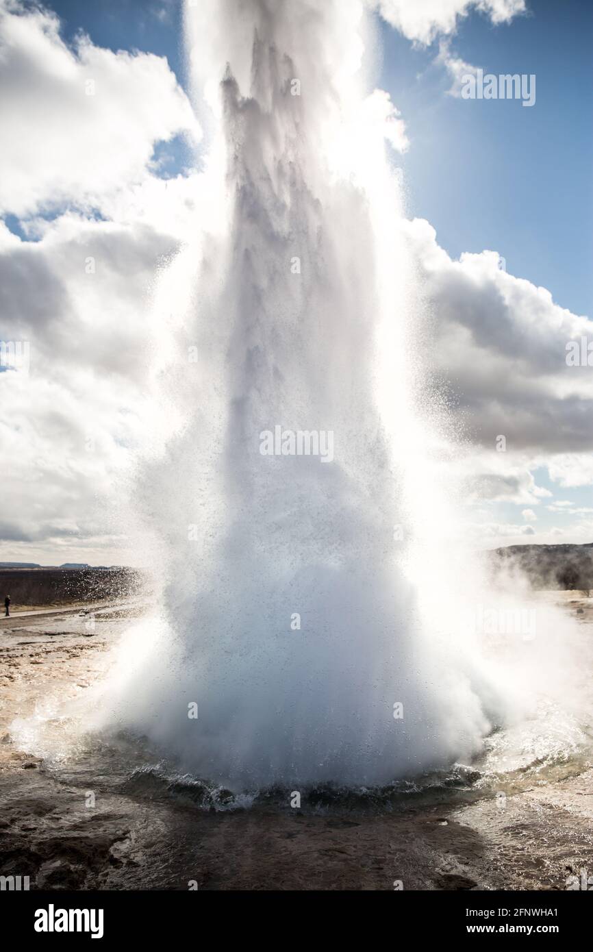 Strokkur Geysir, Geothermisches Gebiet, Goldener Kreis, Island Stockfoto