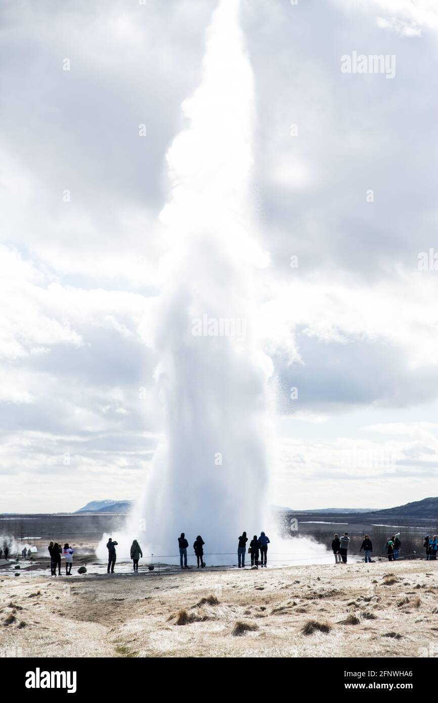 Strokkur Geysir, Geothermisches Gebiet, Goldener Kreis, Island Stockfoto