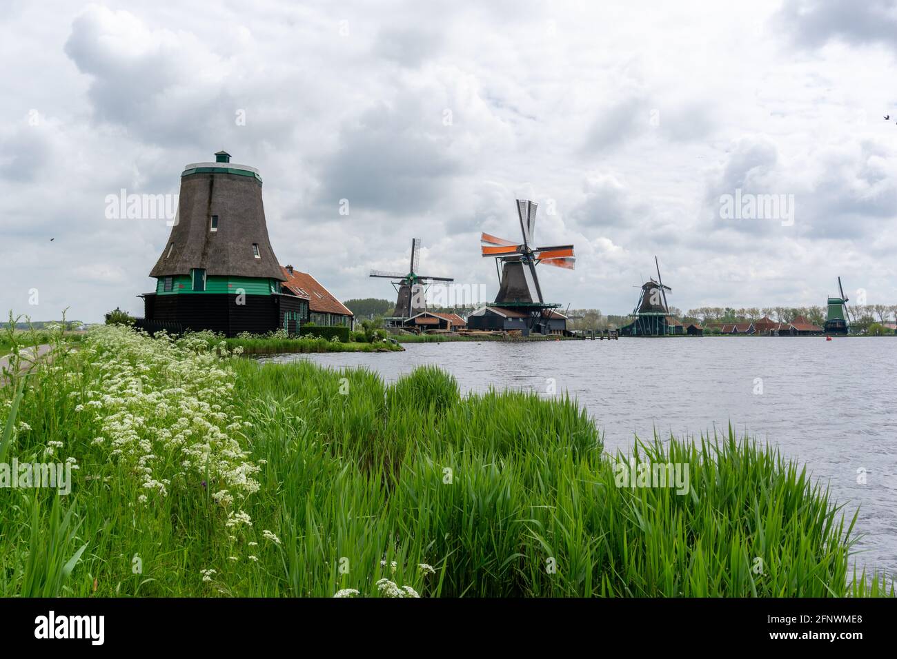 Ein Blick auf die historischen Windmühlen von Zaanse Schaans in Nordholland Stockfoto